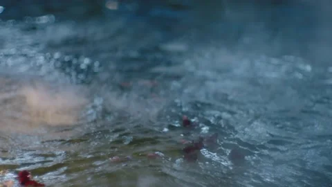 Rose petals float in the hot spring and smoke curls around Stock Footage 231986917