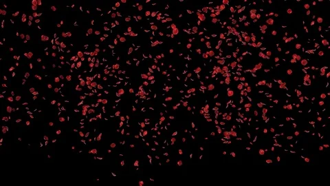 Rose Petals Stock Footage 125638982