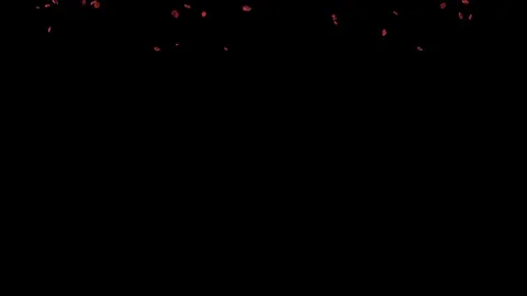 Rose Petals Stock Footage 125639090