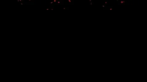 Rose Petals Stock Footage 125641669