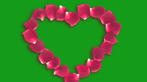 Rose petals forming heart shape with green screen background Stock Footage 124060039