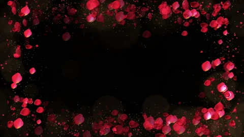 Rose petals frame with lights and particles on black background Stock Footage 233294511