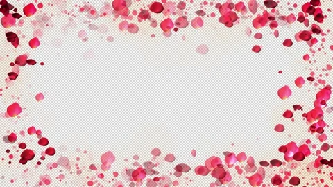 Rose petals frame with lights and particles on alpha channel background Stock Footage 233876401