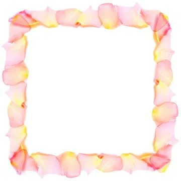 Rose Petals frame Stock Photos