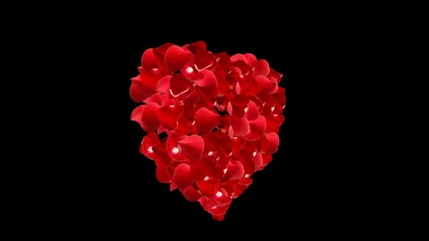 Rose petals heart. Vídeos de archivo 101140557
