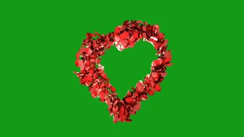 Rose petals heart motion graphics with green screen background Stock Footage 134505101