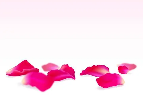 Rose petals Stock Illustration