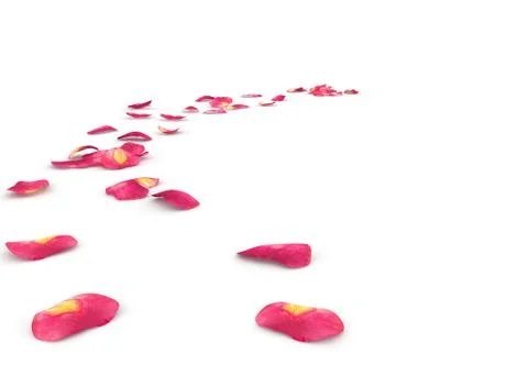 Rose petals lying on the floor Stock Illustration