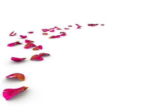 Rose petals lying on the floor Stock Illustration