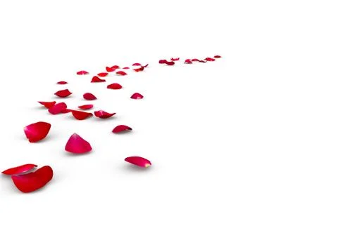 Rose petals lying on the floor Stock Illustration