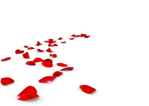 Rose petals lying on the floor Stock Illustration