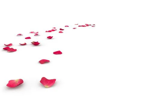 Rose petals lying on the floor Stock Illustration