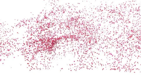 Rose petals or pink cherry  blossoms  blizzard flying across screen Stock Footage 124006274