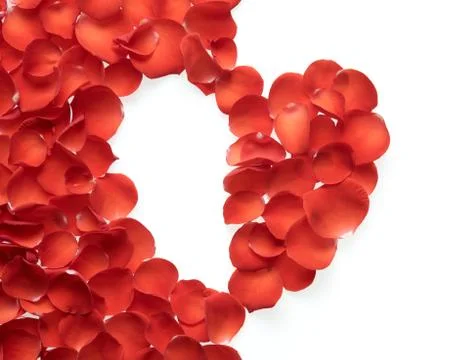 Rose petals Stock Photos