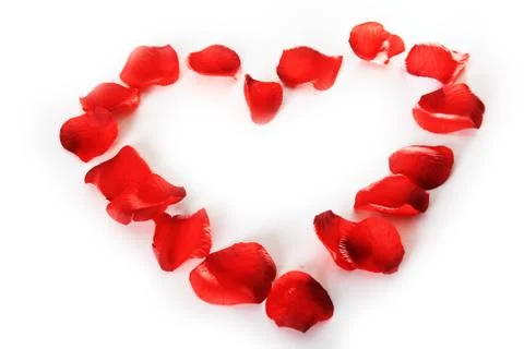 Rose petals Stock Photos
