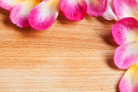 Rose petals Foto stock