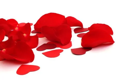 Rose petals 库存照片