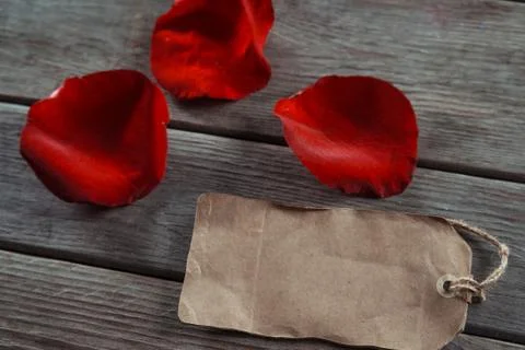 Rose petals Stock Photos