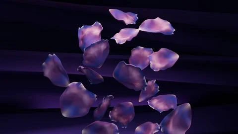 Rose petals 库存照片