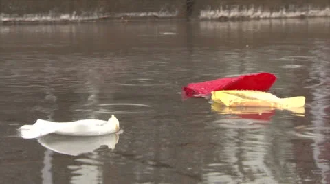 Rose petals in the raindrops Stock Footage 24754864