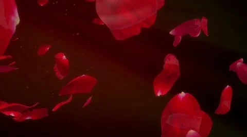 Rose Petals - romantic background Video stock 12689835