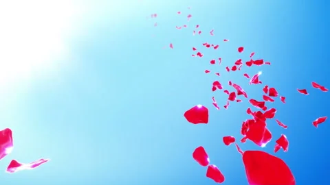 Rose Petals Sky Background (Loop) 4K Video stock 106478268