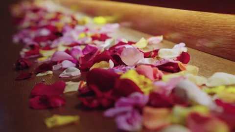 Rose petals on the table. close-up Stock Footage 302546424
