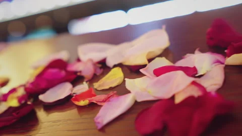 Rose petals on the table Stock Footage 302546315