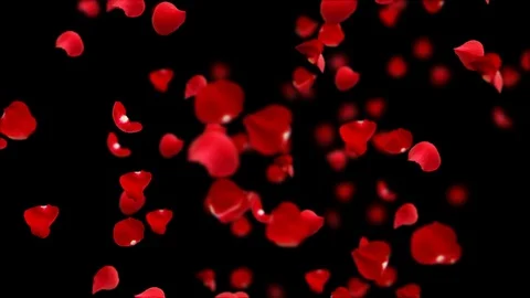 Rose petals transform to Heart. Stockbeeldmateriaal 101140433