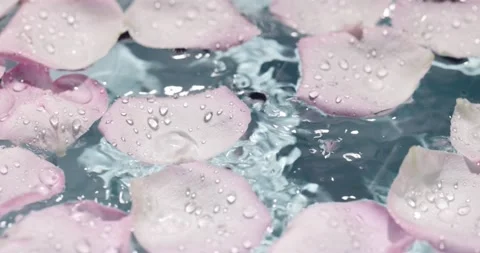 Rose petals in water Stock Footage 178259739