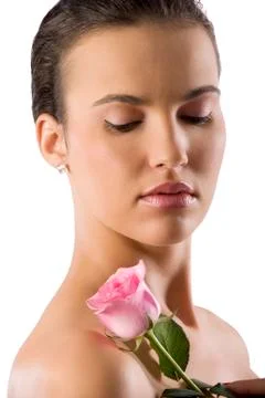 The rose Stock Photos