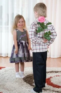 Rose Stock Photos