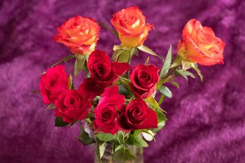 Rose Foto stock