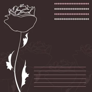 Rose Stock Photos