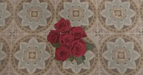 Rose picked from Vase on Tiled Background Stock Footage 124093852