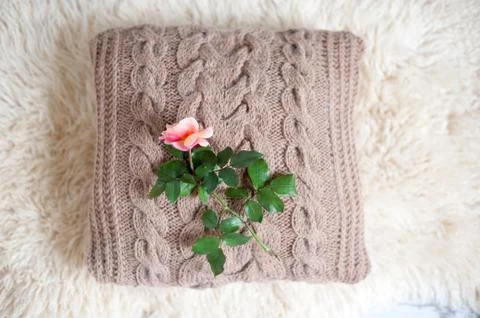 The rose on a pillow Stock Photos