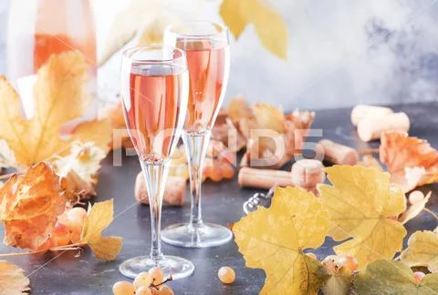 Rose pink champagne glasses and bottle, gray background, wine tasting concept Stock Photos
