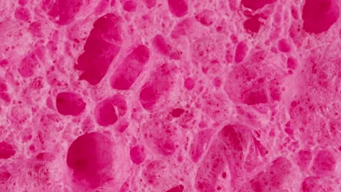 Rose pink red sponge background close-up macro, girl or woman make a make up for Stock Footage 260757550