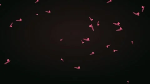 Rose pink seeds for botanical visuals. Organic nature motion graphic for Video stock 342623032