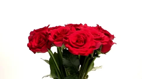 Rose, Plants Concept Props Stock Footage 64988186