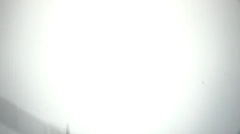 Rose, Plants Concept Props Stock Footage 64988200