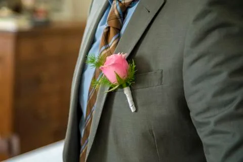 Rose in the pocket Stock Photos