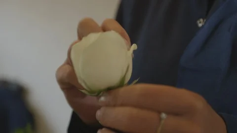 Rose pruning Stock-Footage 95974640