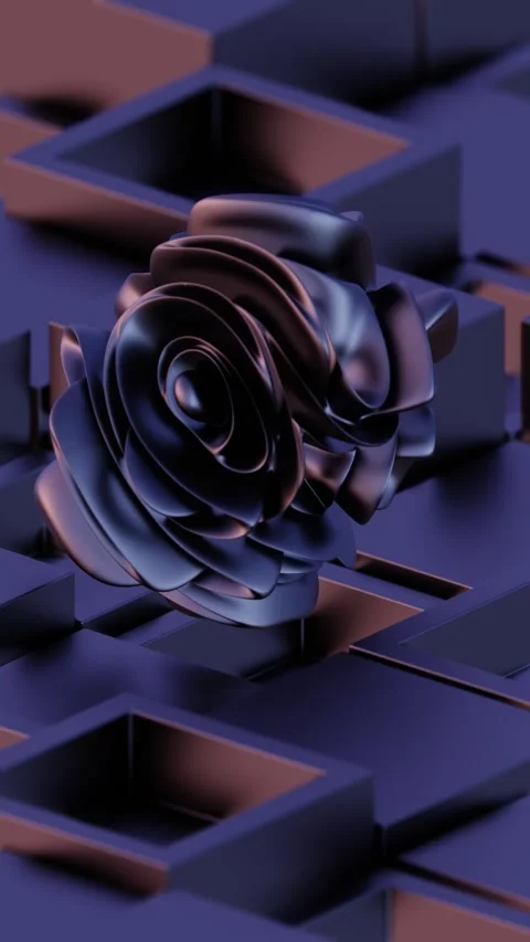 A rose on a purple background Stock Footage 309926353