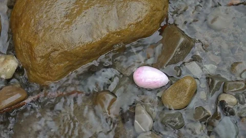 Rose quartz crystal yoni egg lying on the stones of mountains river in the water Stock Footage 113143993