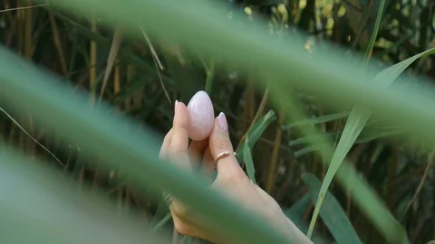 Rose quartz gem in hands on green stems background outdoors. Female hand with Stock Footage 115854383