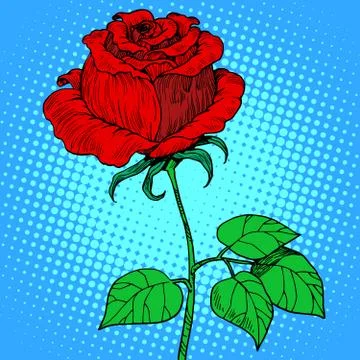 Rose red flower Stock Illustration