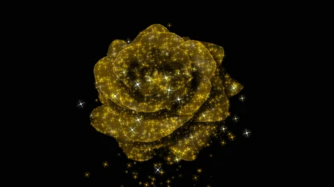 Rose RGB Alpha Stock Footage 230096018