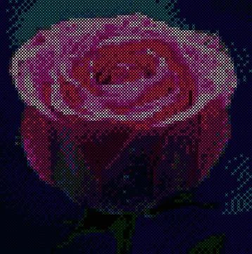 Rose scheme  in crosses vector. Stock Illustration