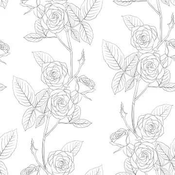 Rose seamless flower background, vector illustration. 스톡 일러스트